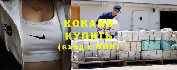 индика Красноперекопск