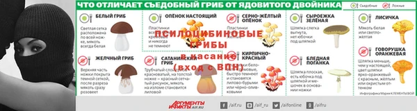 прущие грибы Краснослободск
