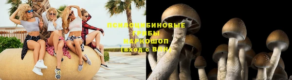 индика Красноперекопск