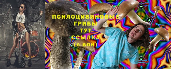 индика Красноперекопск
