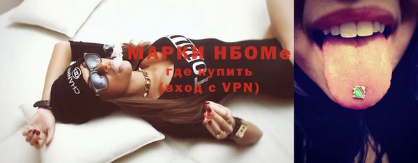 индика Красноперекопск