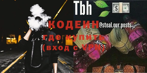 прущие грибы Краснослободск