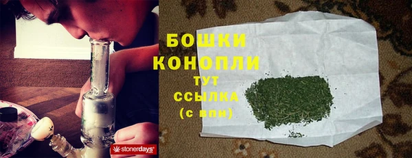 индика Красноперекопск