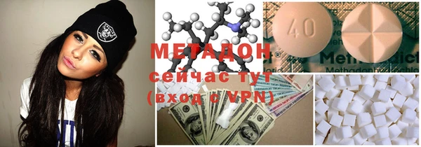 прущие грибы Краснослободск
