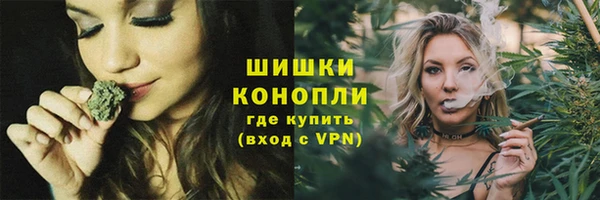 индика Красноперекопск