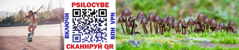 Галлюциногенные грибы Psilocybe  Купить где  Орлов 