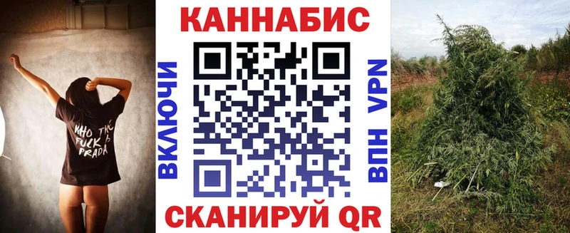 Марихуана семена  Купить закладки  Орлов 